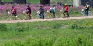 영산강변 자전거 행렬