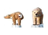 멸종위기 동물들 “도와줘, 꼬마타잔”