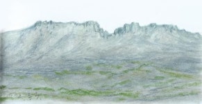 동백매화화첩 펼쳐보기  7월 20일까지 해남 행촌미술관