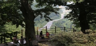 격동기 아픔 간직한 길 … 터널 개통 이후 점차 잊혀져