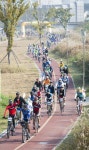 [2015 그린 자전거 축제] 영산강변 억새·코스모스길 따라 형형색색 두 바퀴