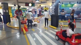 우치공원서 교통안전 배우고 동물과 친해지고