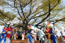 광주 남구 하촌마을 ‘건강장수마을’ 축하행사