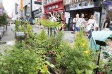 광주 충장로 꽃길을 걸어요