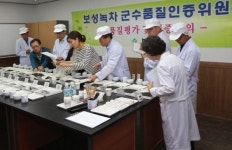 보성녹차 군수품질인증 마크 확인하세요