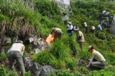 교란생물 제거 … 국립공원 생태계 지킨다