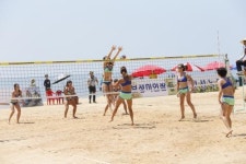 율포솔밭 해변서 펼친 1박2일 ‘비치발리볼 열전’