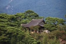폭염도 잊게 하는  화순 송석정 절경