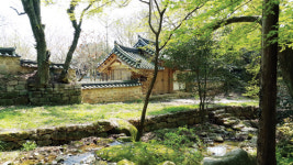 때 묻지 않은 비밀의 정원 … 걸음이 절로, 詩心이 절로