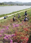 [나주 남평 지석강변 둘레길] 강변을 걷는 이에게 축복이 된다