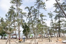 전남 3대 해수욕장 … 가마미 옛 영광 다시한번