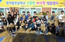 “벼 수확 체험하며 농업 소중함 배워요” 농협 전남본부, 빛가람초등학교서 행사