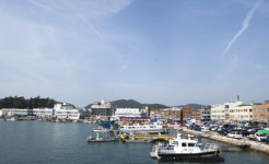 [바다 르네상스 국가 어항을 가다] <하> 역사가 숨쉬는 항구-고흥 녹동항