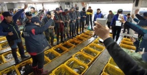 청정 수산물 경매 ‘북적’