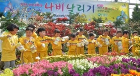 동심 만발 ‘함평나비대축제’