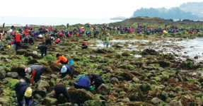 돌산읍 작금마을 갯벌 개방 ‘영트는 날’ 체험행사 북적