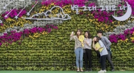 꽃벽 앞 꽃청춘