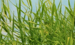 色에 대한 색다른 발견