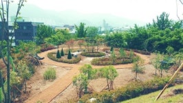 우산공원 인근 유휴지 힐링숲으로 재탄생