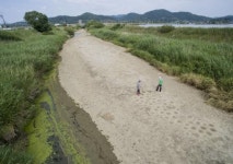 바닥 드러낸지 오래 … 모래밭 된 대촌천