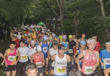 700여명 편백향 가득한 명품 숲길 달렸다