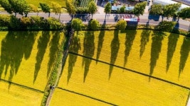 이 넉넉함, 이 평온함…그리웠다! 내 고향 들녘