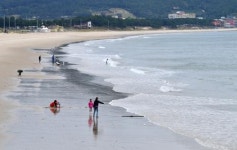 [신 팔도유람 - 전남 완도] 자연의소리 들으며 힐링여행 