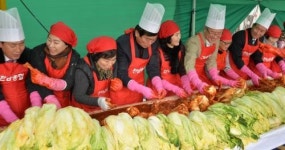 농협 전남본부, 배추농가 돕기 김장 한포기 더 담그기 운동