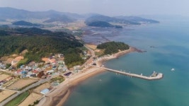 [보성 군학마을] 물결마다 충무공 숨결 … 모래 한줌에도 500년 역사 켜켜이