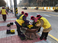 “봄단장 꽃단장”