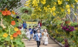 함평 나비대축제장의 동심