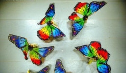 호남예술제 ‘인간 나비’