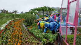 함평4 - H 엑스포공원 등 2곳에 클로버동산