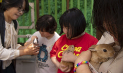 與, 국회 남북특위 추진…남북경협 ‘시동’