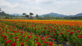 ‘도시재생’ 대학생 아이디어 톡톡