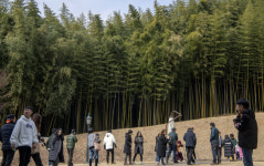 담양 죽녹원 설 연휴 나들이객