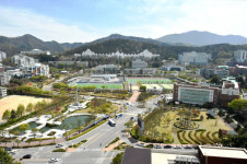 조선대학교, 전라·제주권 체육예술 교육기부 거점대학 2년 연속 선정