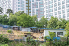 수영대회선수촌 코 앞 개 사육장 처리 골머리