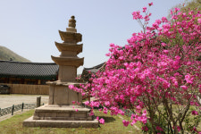 <9> 삼층 석탑과 무염지(無染池) : 정교하고 단아한 석탑, 대흥사의 가장 오래된 보물