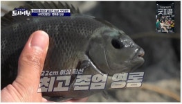 채널 A 도시어부 오도열도 : 엔드게임 벵에돔과의 전쟁