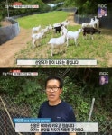 생방송 오늘 저녁 , 산양목장으로 억대 매출 달성.. 비법은?