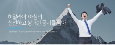 히말라야 아침, 도대체 뭐길래?...간 건강에 도움되는 기능식품