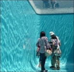 물이 없는 수영장 