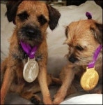 최고의 개 목걸이, 주인덕에 개호강