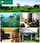 태안비치CC  멤버십 골프 선불카드 모집