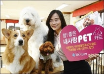 IBK기업은행 참! 좋은 내사랑 PET카드 판매