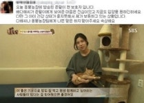 동물농장 배다해, 고양이 거짓 입양 논란 보호자 해명 들어보니…