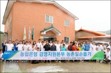 농협銀, 자매결연마을 찾아 일손돕기 봉사