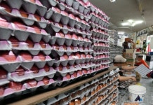 정부, ‘살충제 계란’ 철저히 골라낸다...420개 농장 보완조사