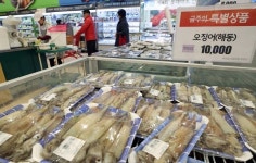 지난해 수산물 148만t 수입…오징어새우연어 급증